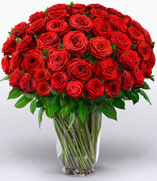 100 Red Roses European bouquet –